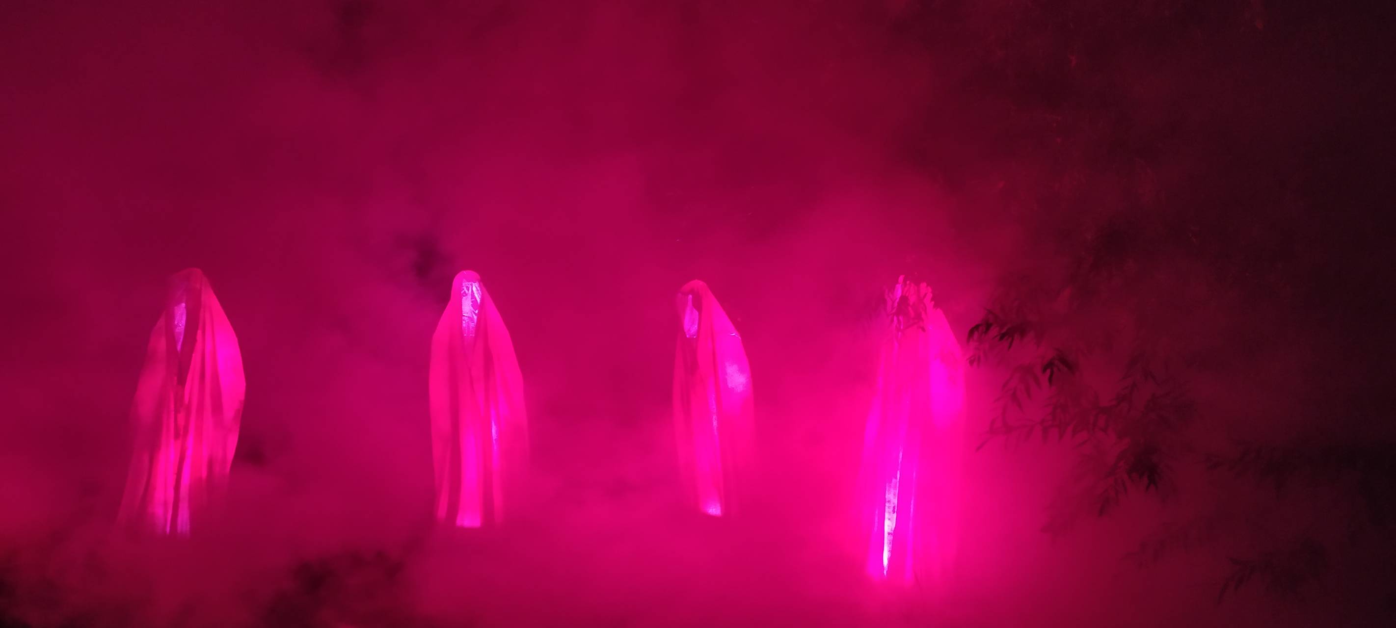 Natalie schießt das Herbstleuchten-Gewinnerfoto