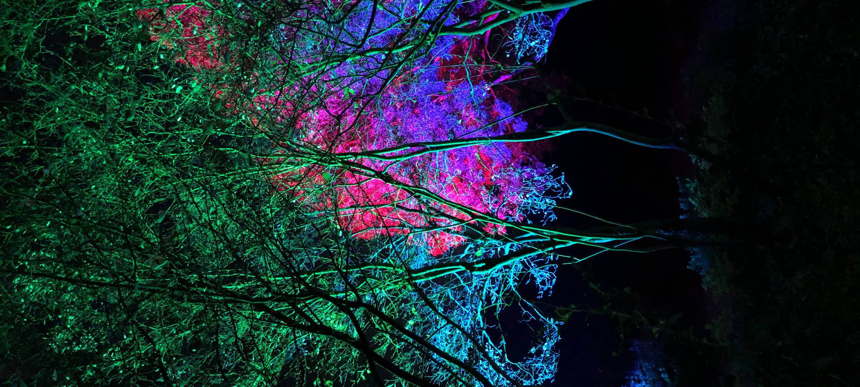 Natalie schießt das Herbstleuchten-Gewinnerfoto