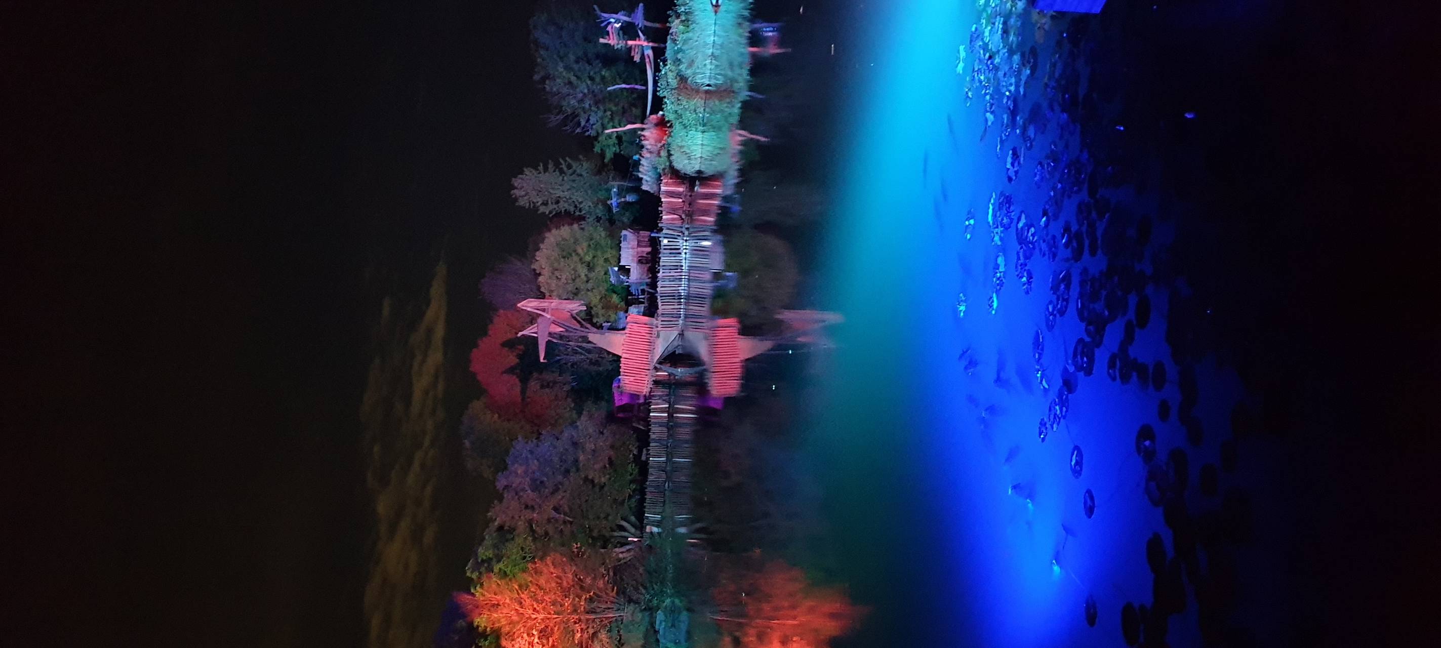 Natalie schießt das Herbstleuchten-Gewinnerfoto