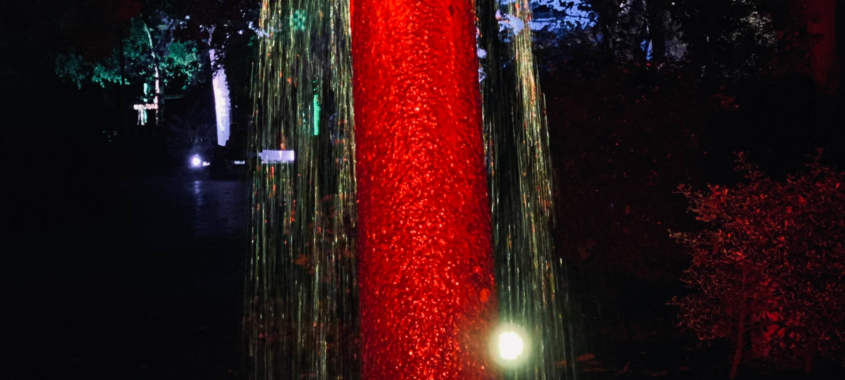 Natalie schießt das Herbstleuchten-Gewinnerfoto