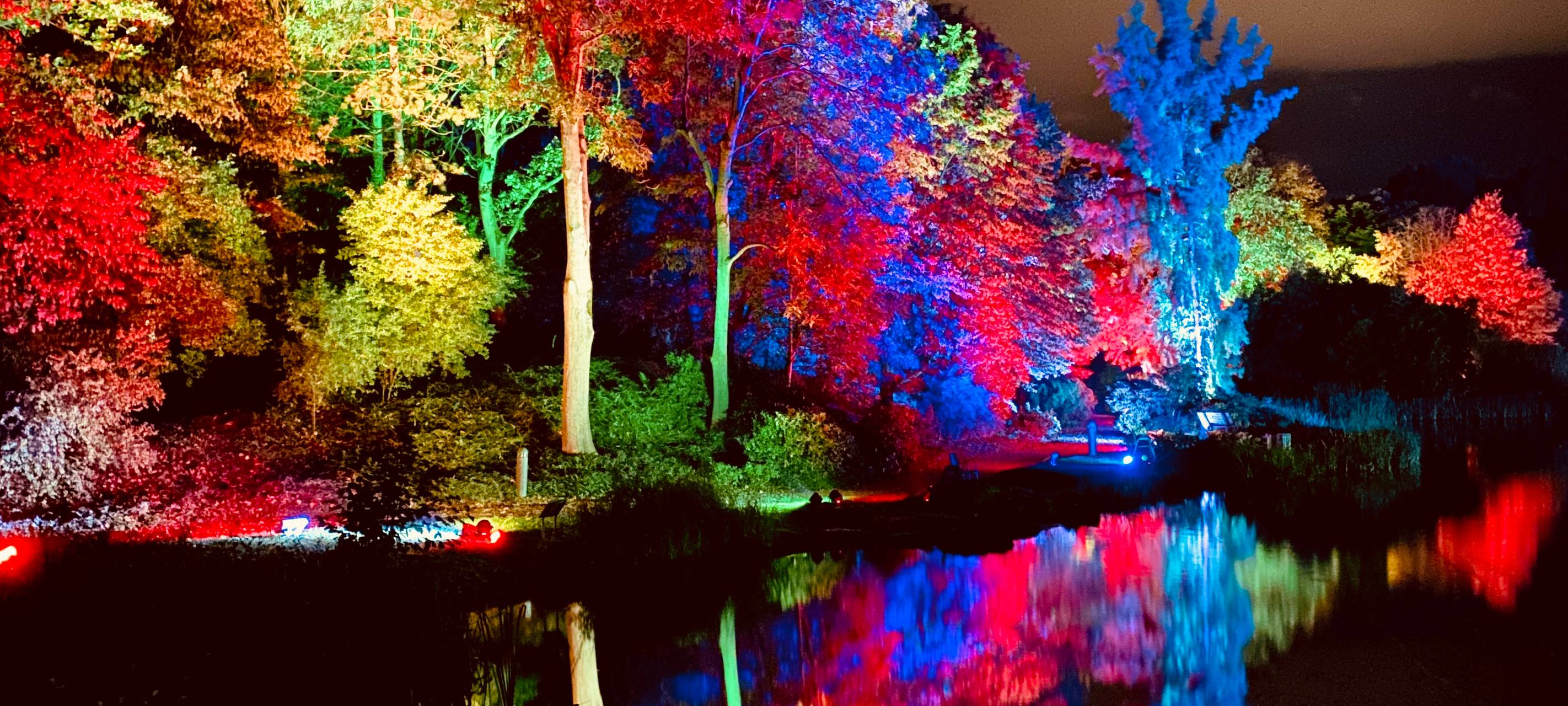 Natalie schießt das Herbstleuchten-Gewinnerfoto