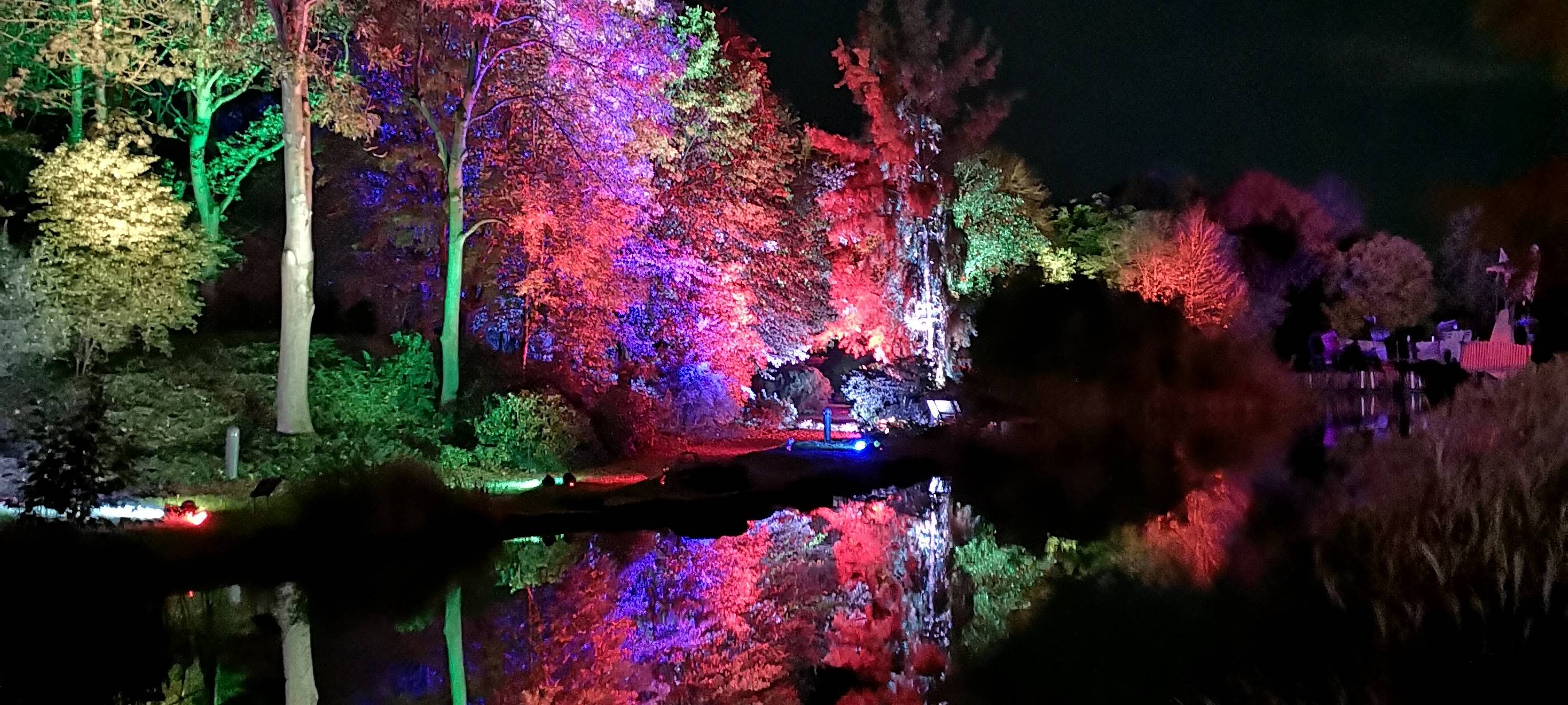 Natalie schießt das Herbstleuchten-Gewinnerfoto