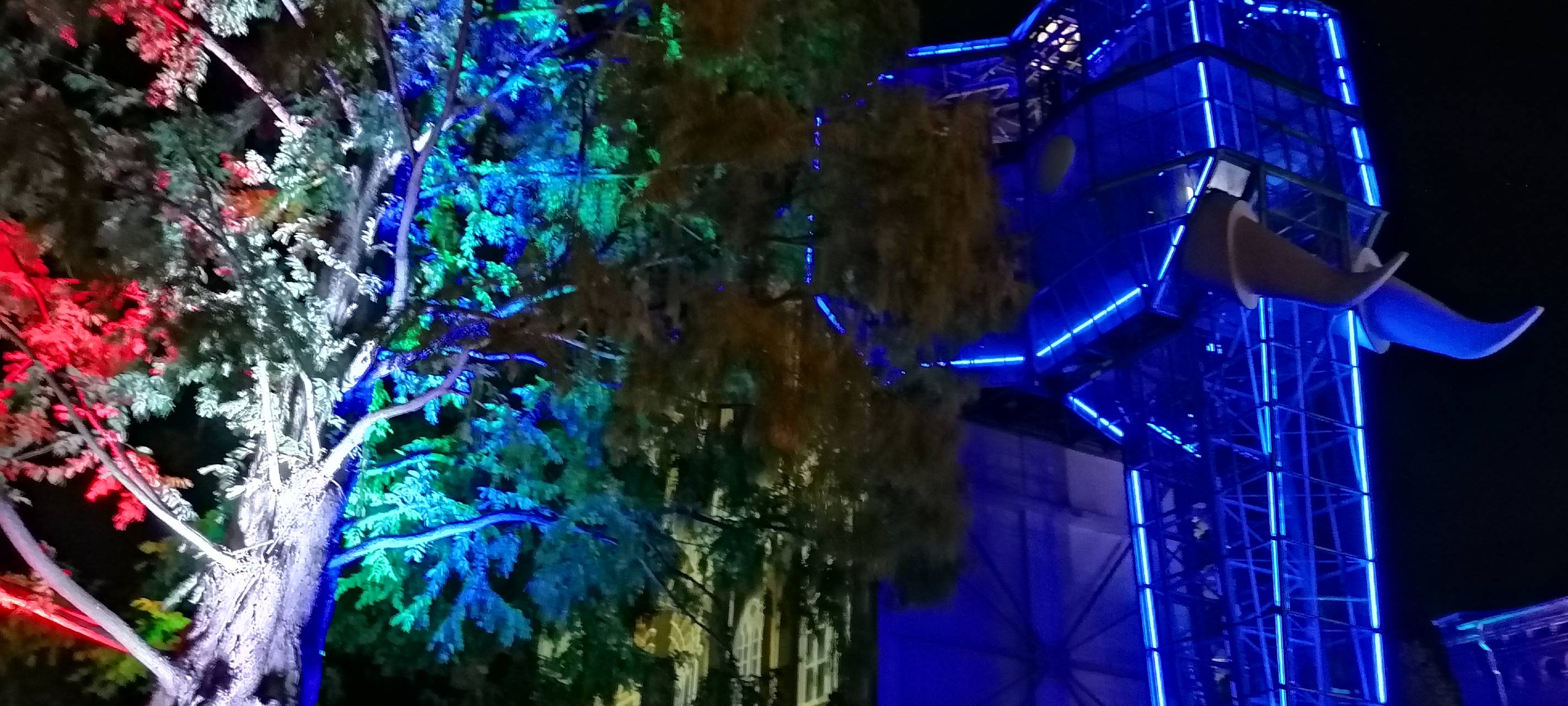 Natalie schießt das Herbstleuchten-Gewinnerfoto