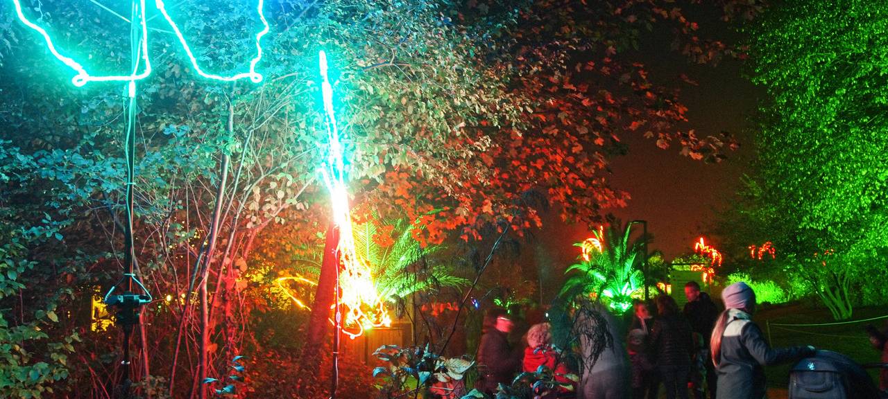 Natalie schießt das Herbstleuchten-Gewinnerfoto