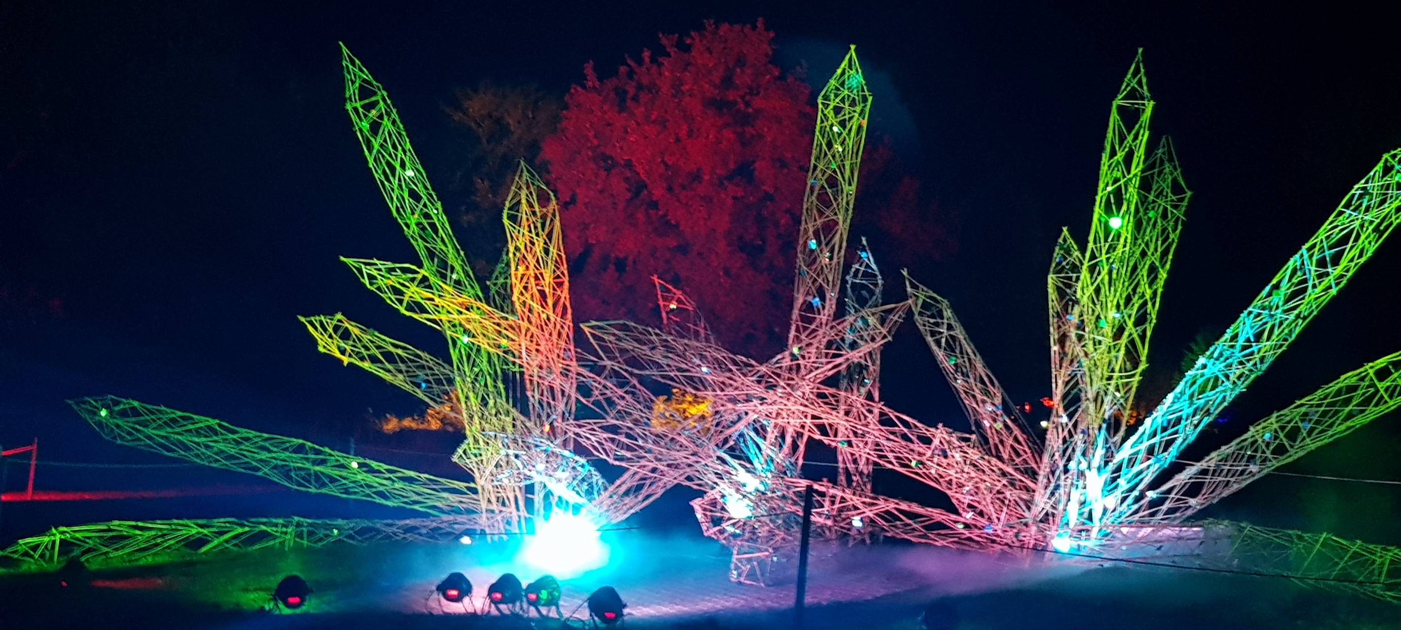 Natalie schießt das Herbstleuchten-Gewinnerfoto
