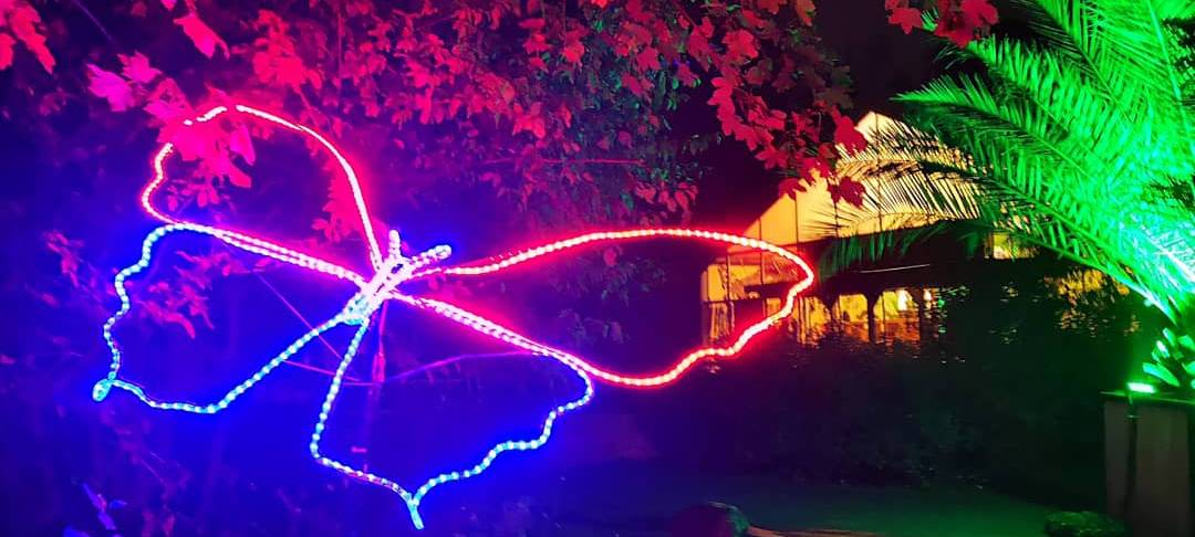 Natalie schießt das Herbstleuchten-Gewinnerfoto