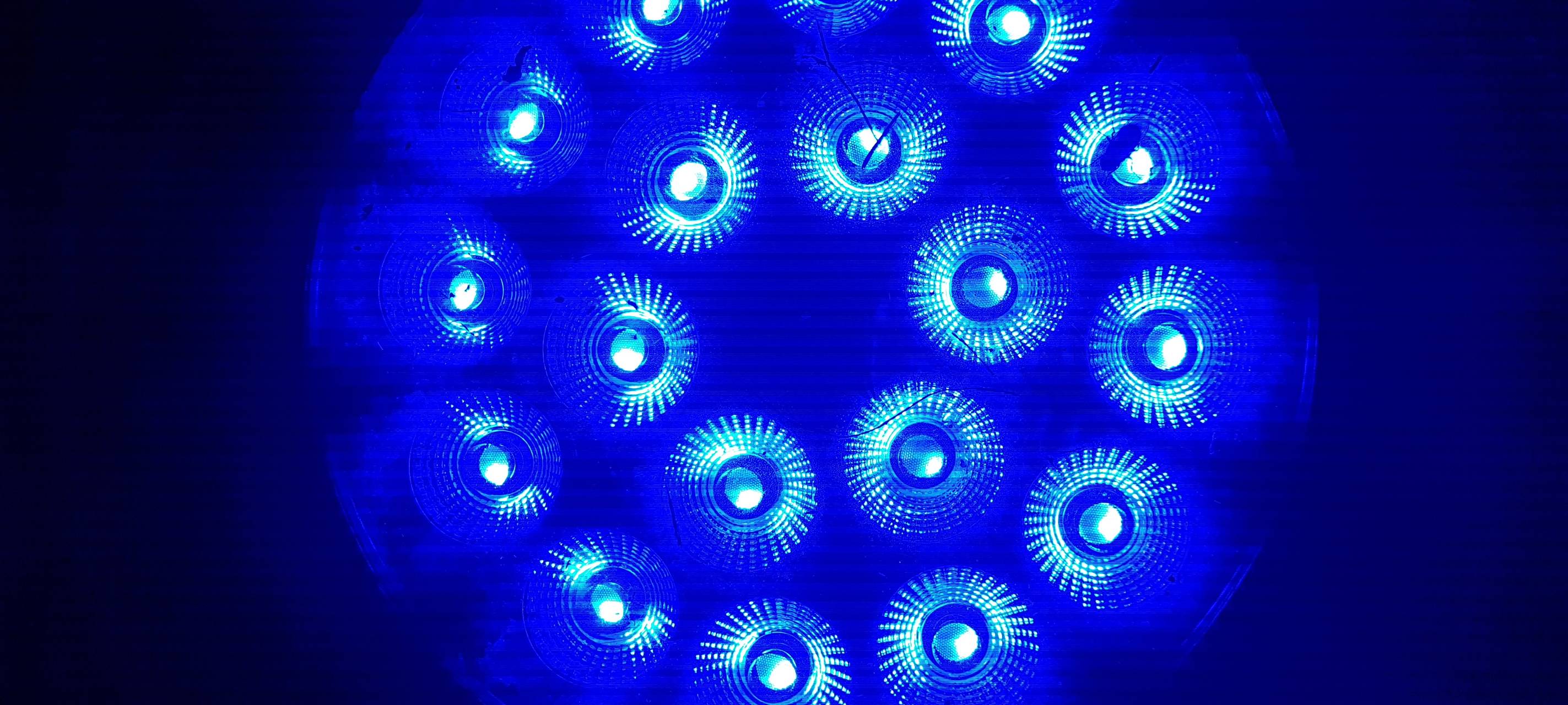 Natalie schießt das Herbstleuchten-Gewinnerfoto