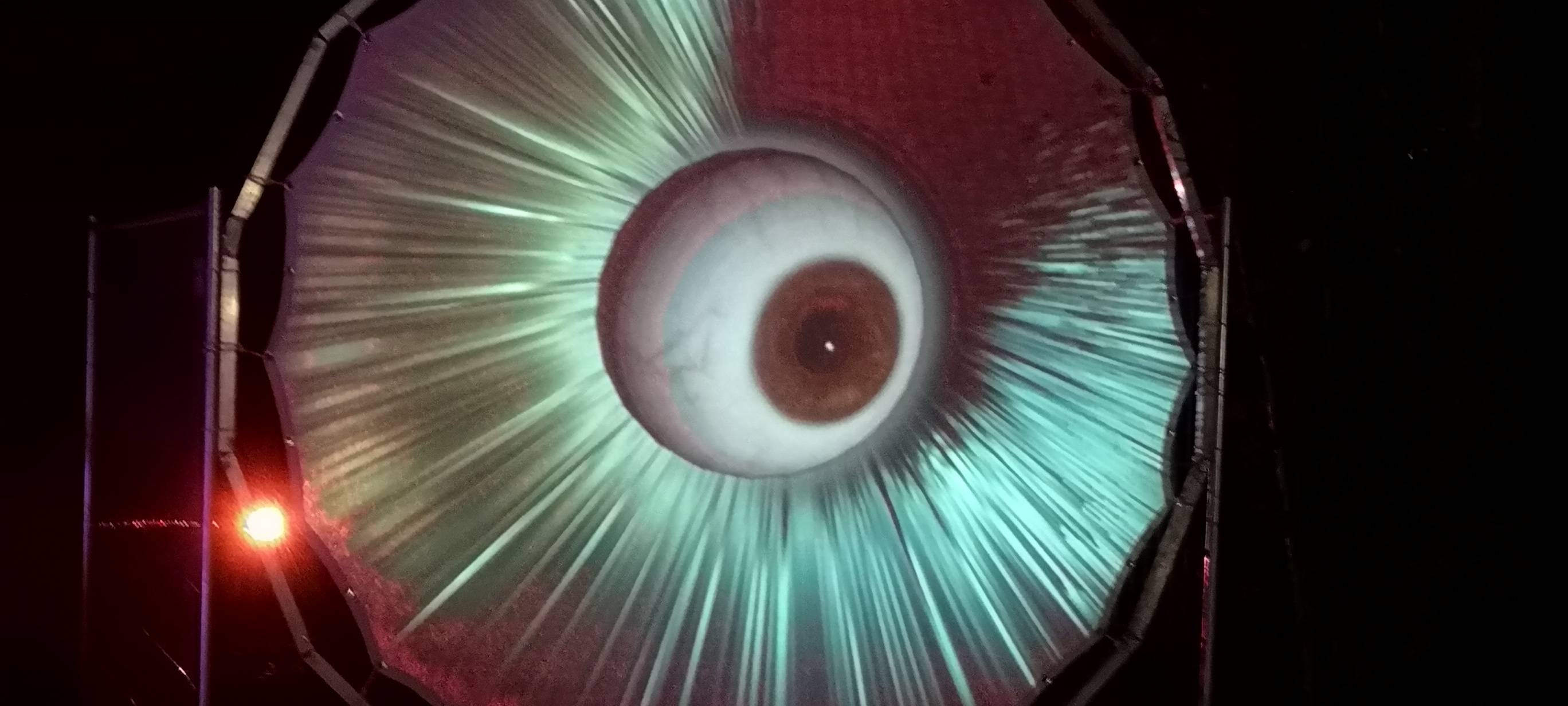 Natalie schießt das Herbstleuchten-Gewinnerfoto