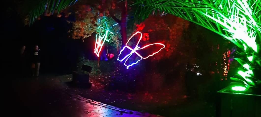 Natalie schießt das Herbstleuchten-Gewinnerfoto