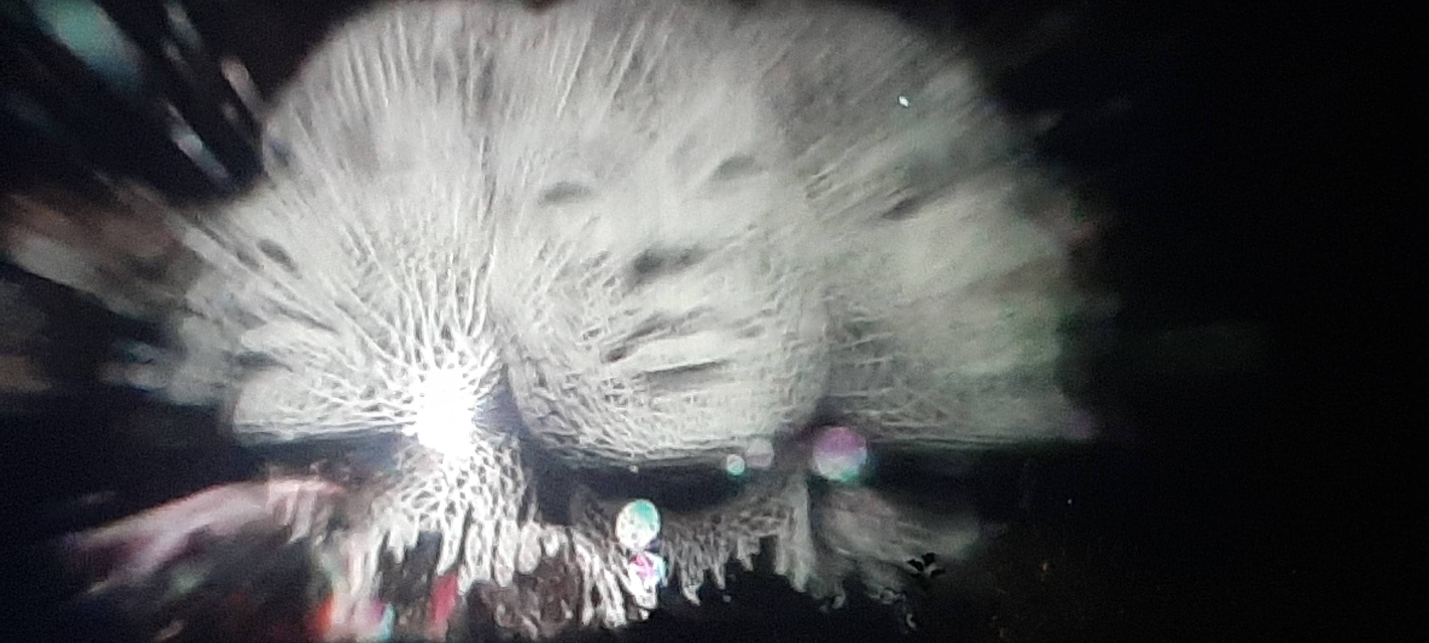 Natalie schießt das Herbstleuchten-Gewinnerfoto