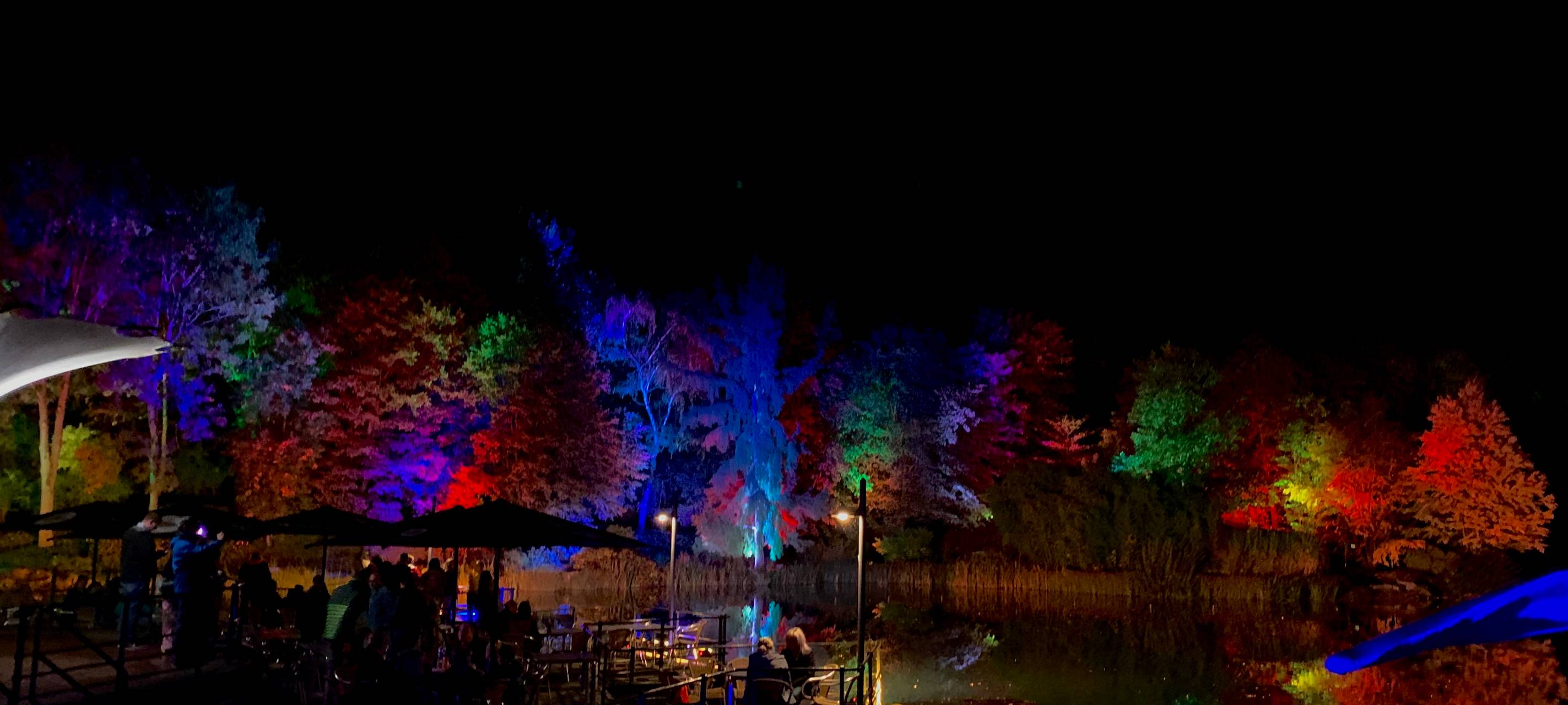 Natalie schießt das Herbstleuchten-Gewinnerfoto