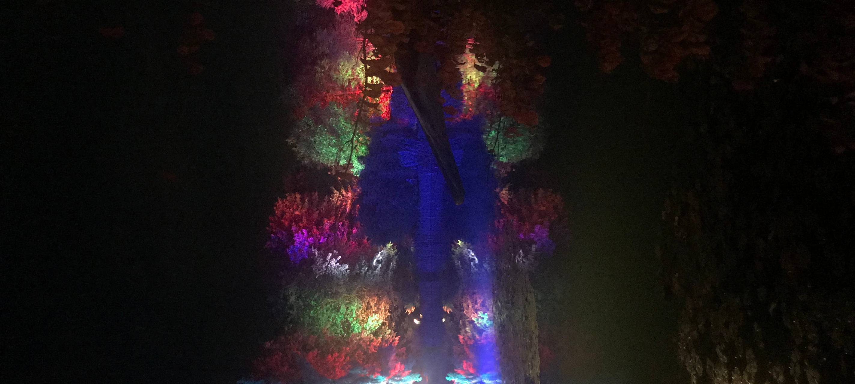 Natalie schießt das Herbstleuchten-Gewinnerfoto