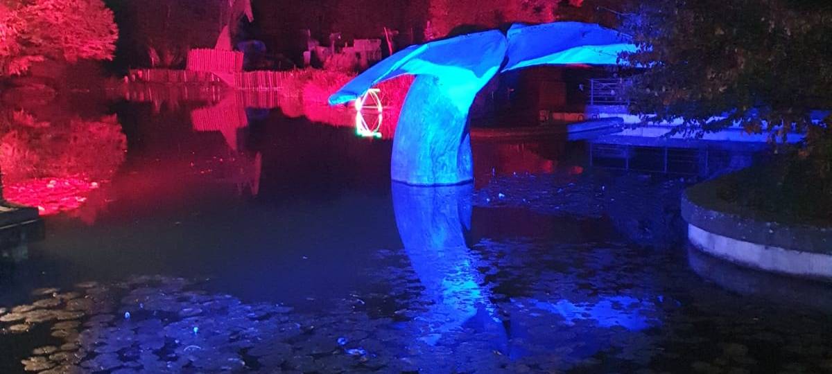 Natalie schießt das Herbstleuchten-Gewinnerfoto