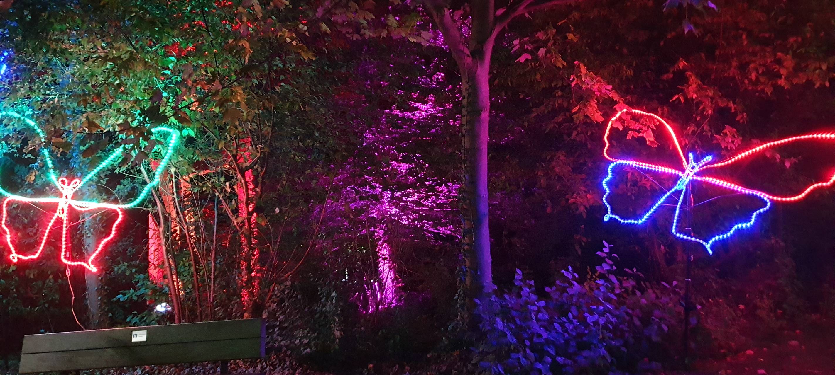 Natalie schießt das Herbstleuchten-Gewinnerfoto