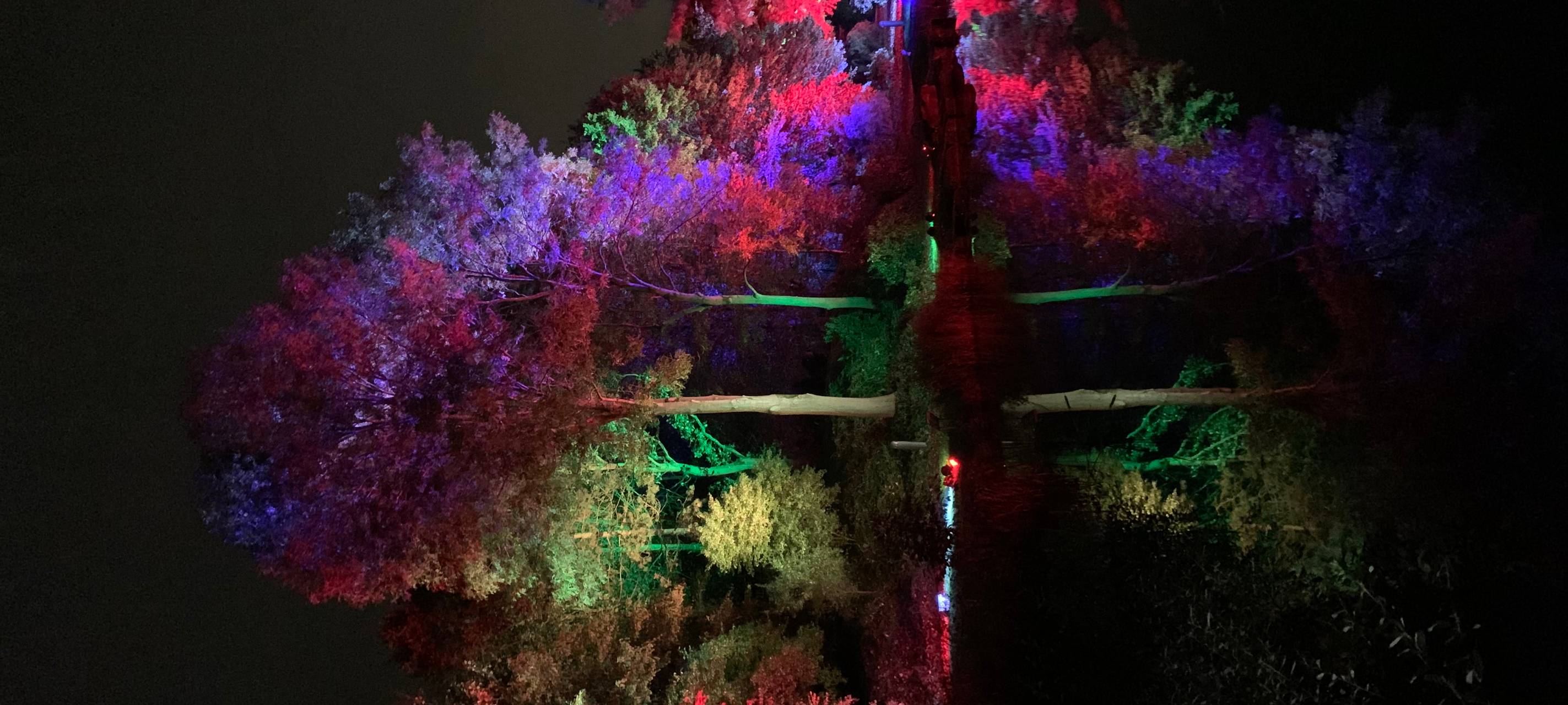 Natalie schießt das Herbstleuchten-Gewinnerfoto