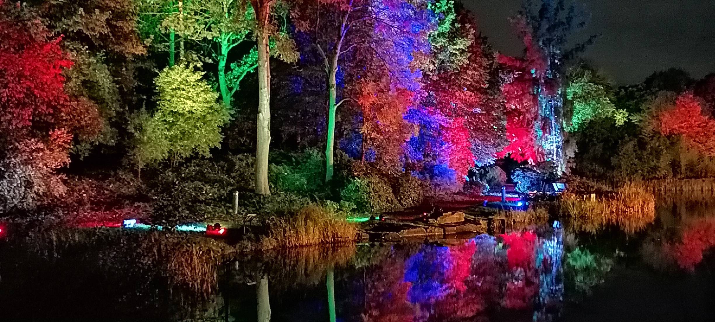 Natalie schießt das Herbstleuchten-Gewinnerfoto
