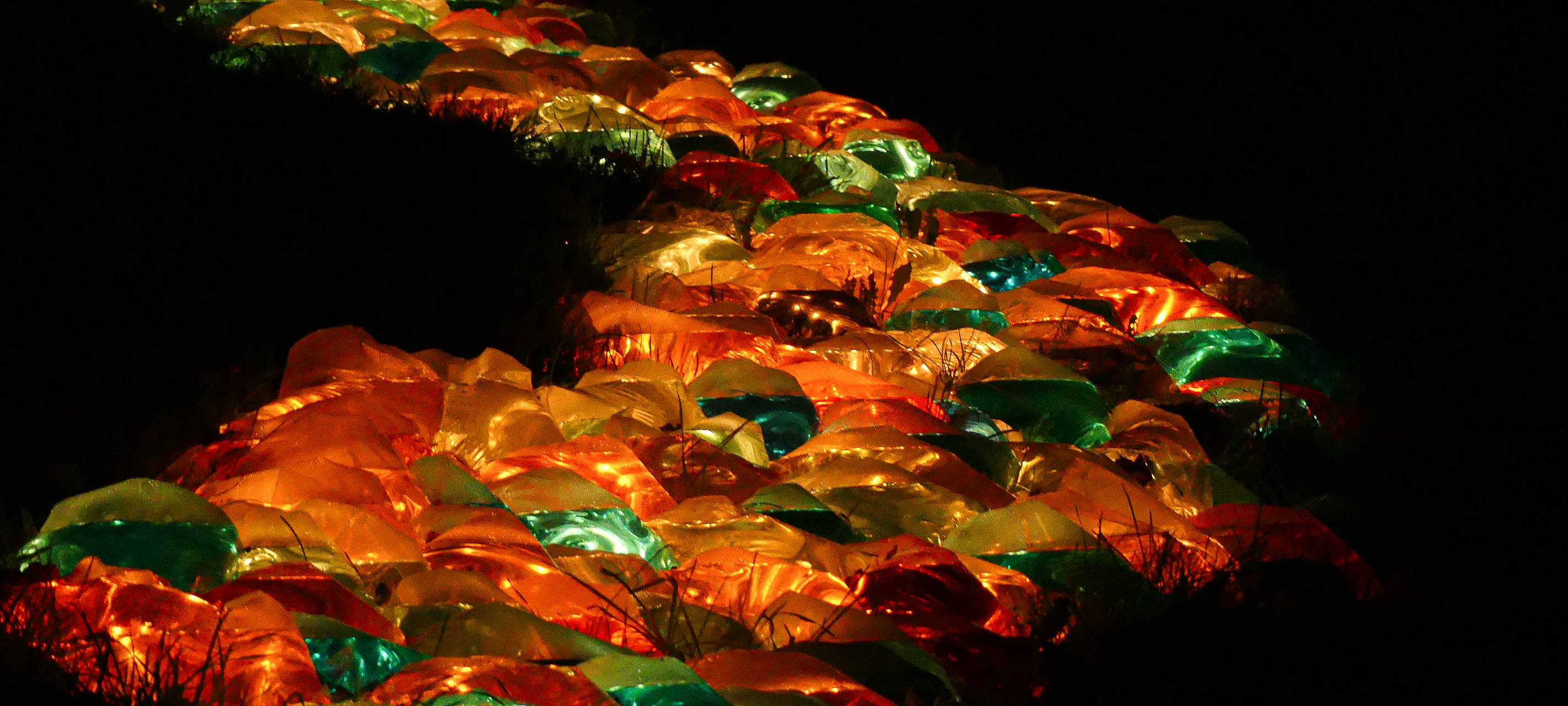 Natalie schießt das Herbstleuchten-Gewinnerfoto