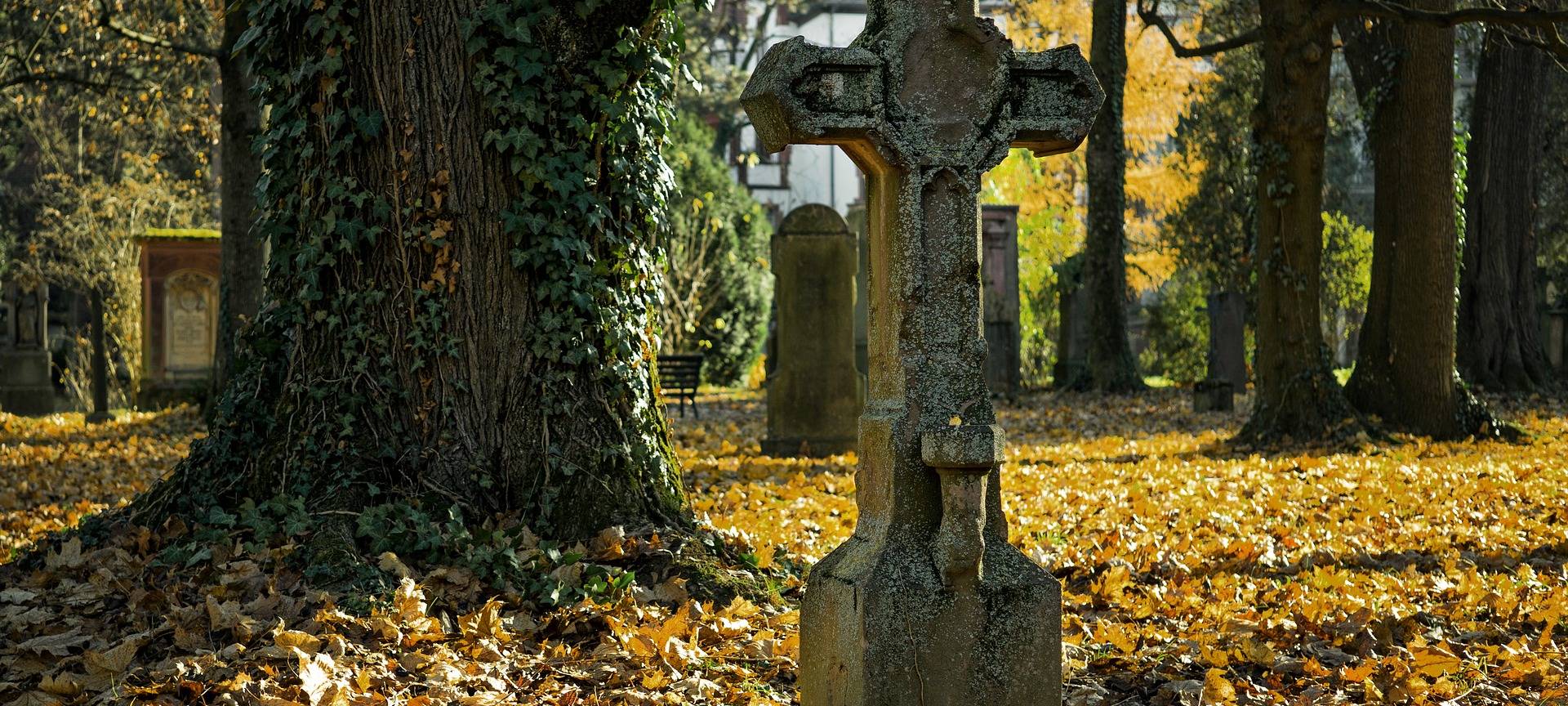 Keine höhere Sterblichkeit in Hamm