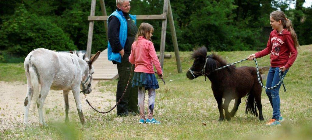Spendenübergabe für tiergestützte Therapie