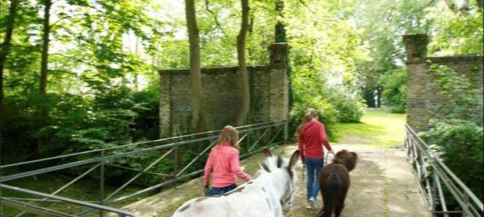 Spendenübergabe für tiergestützte Therapie