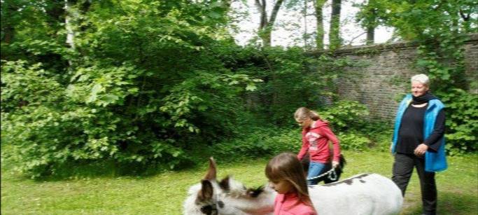 Spendenübergabe für tiergestützte Therapie