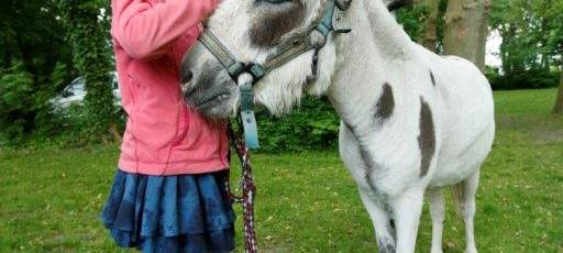 Spendenübergabe für tiergestützte Therapie