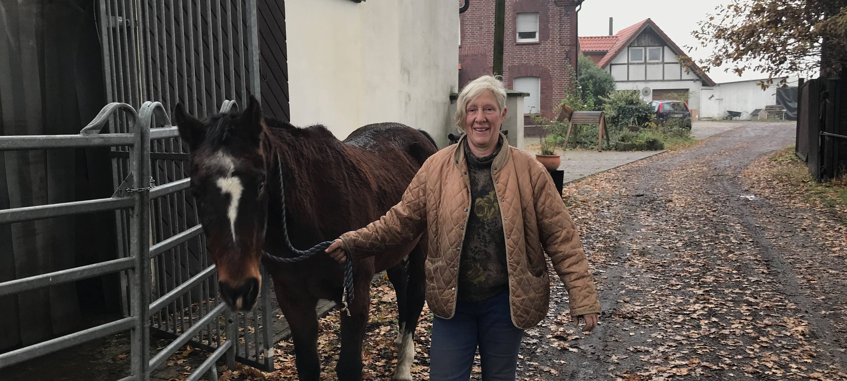 Ein Gnadenhof für Pferde