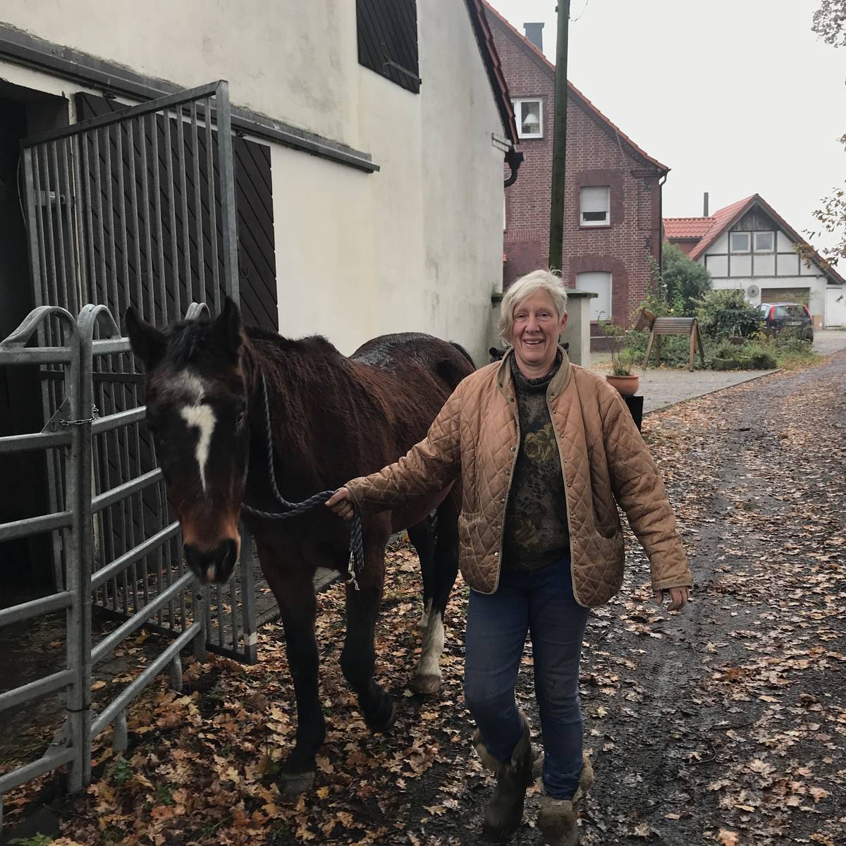 Ein Gnadenhof für Pferde - Radio Lippewelle Hamm
