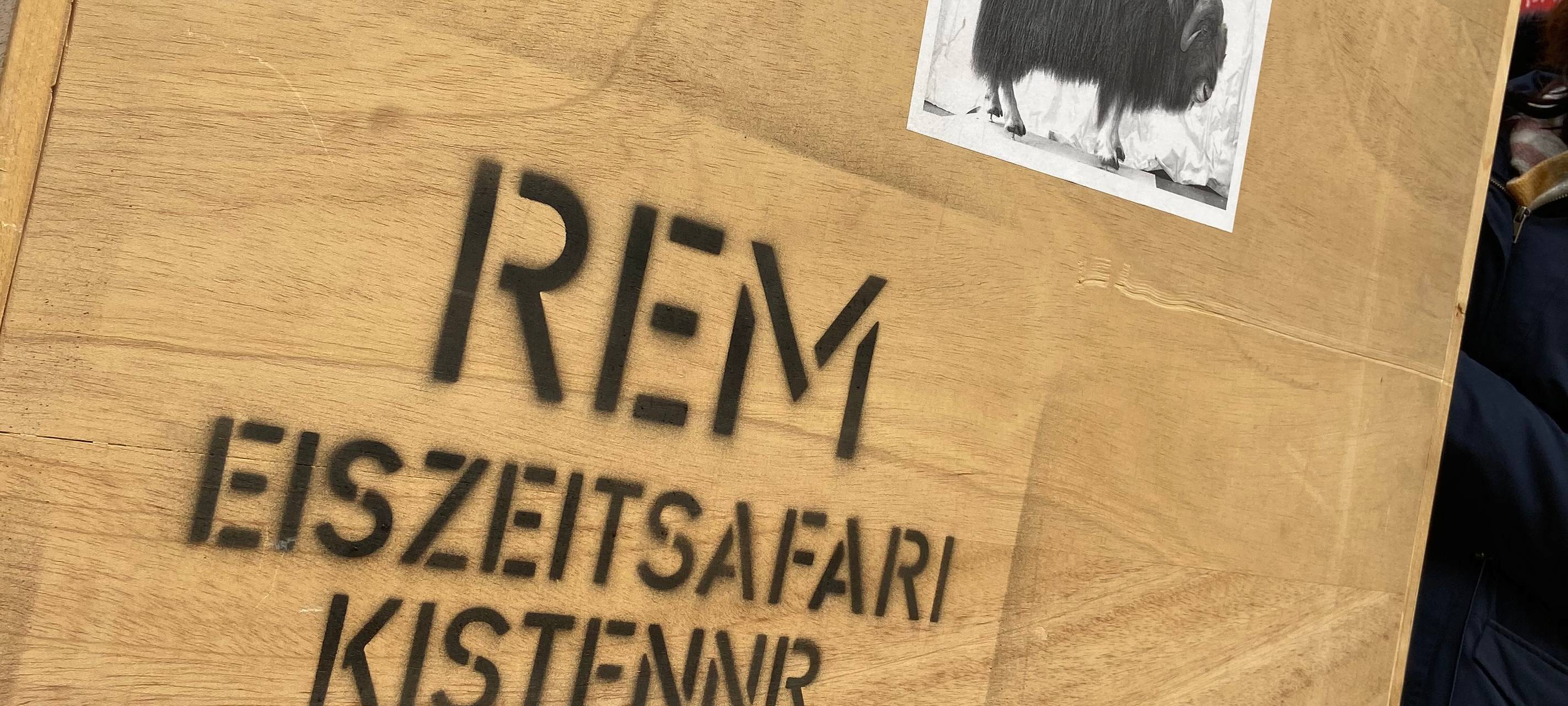 Eiszeit Safari im Museum
