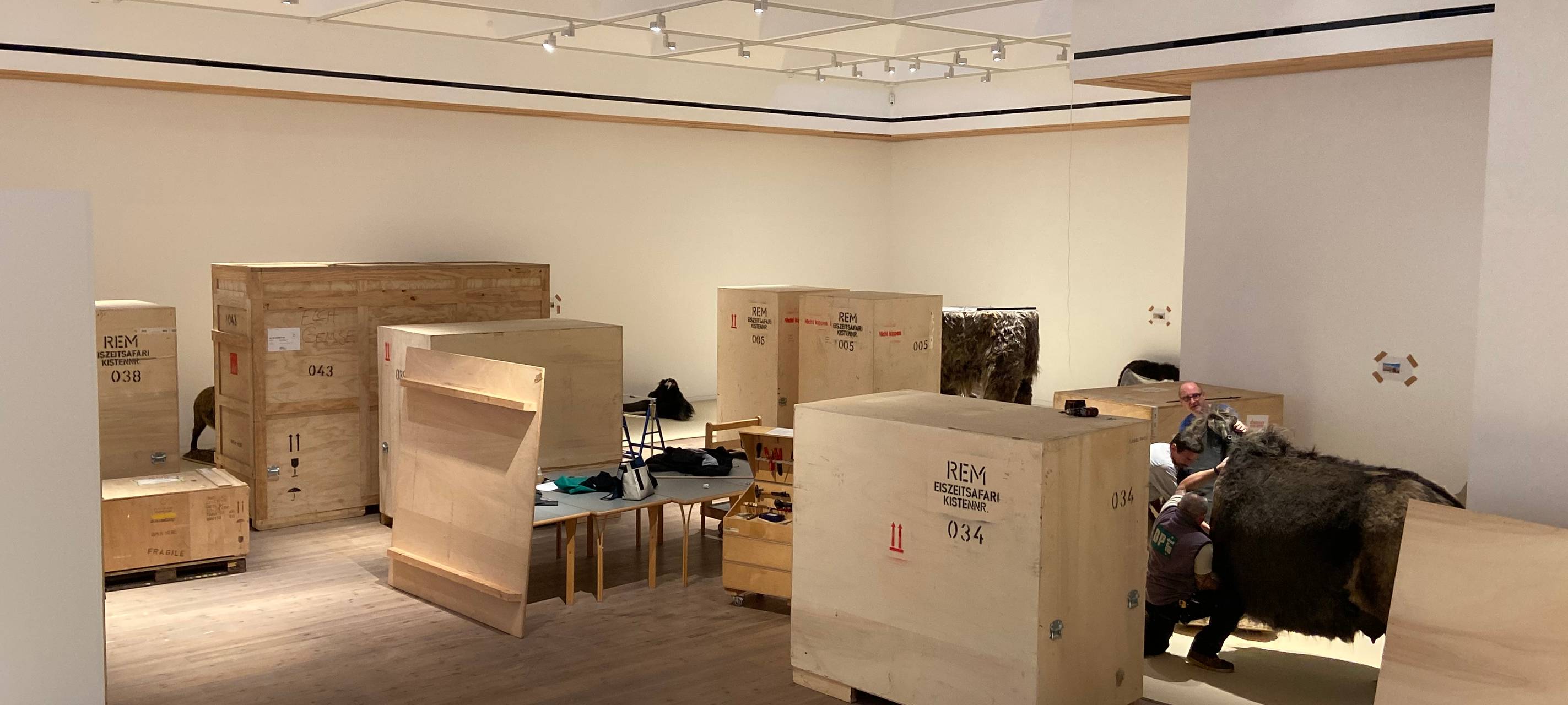 Eiszeit Safari im Museum