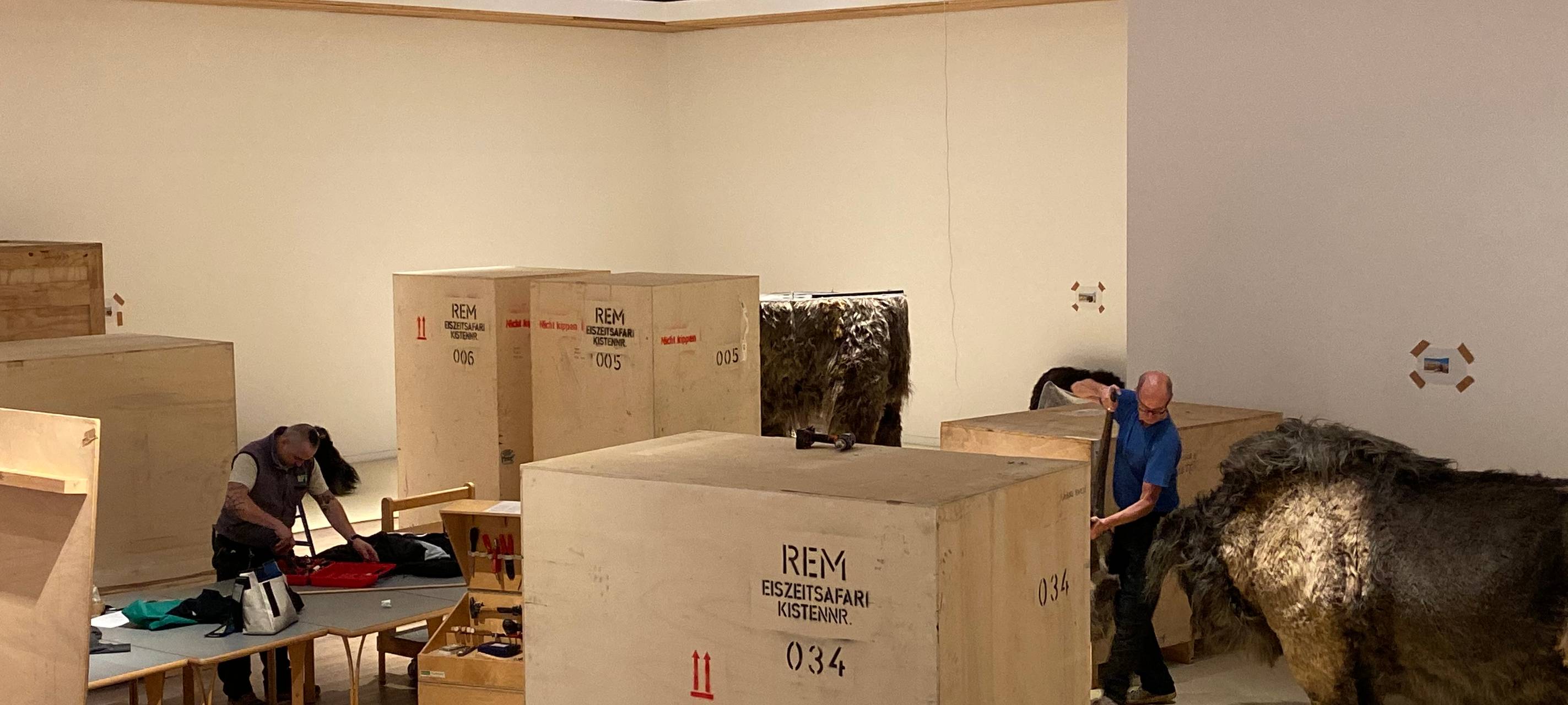 Eiszeit Safari im Museum