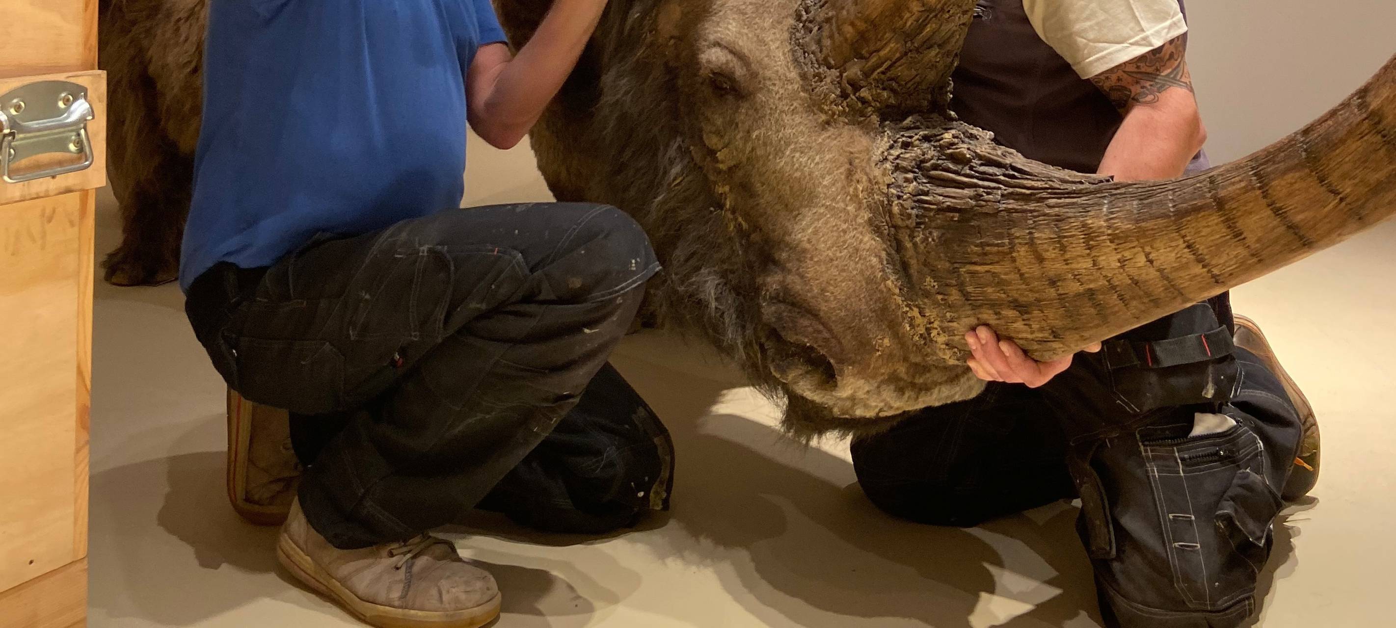 Eiszeit Safari im Museum