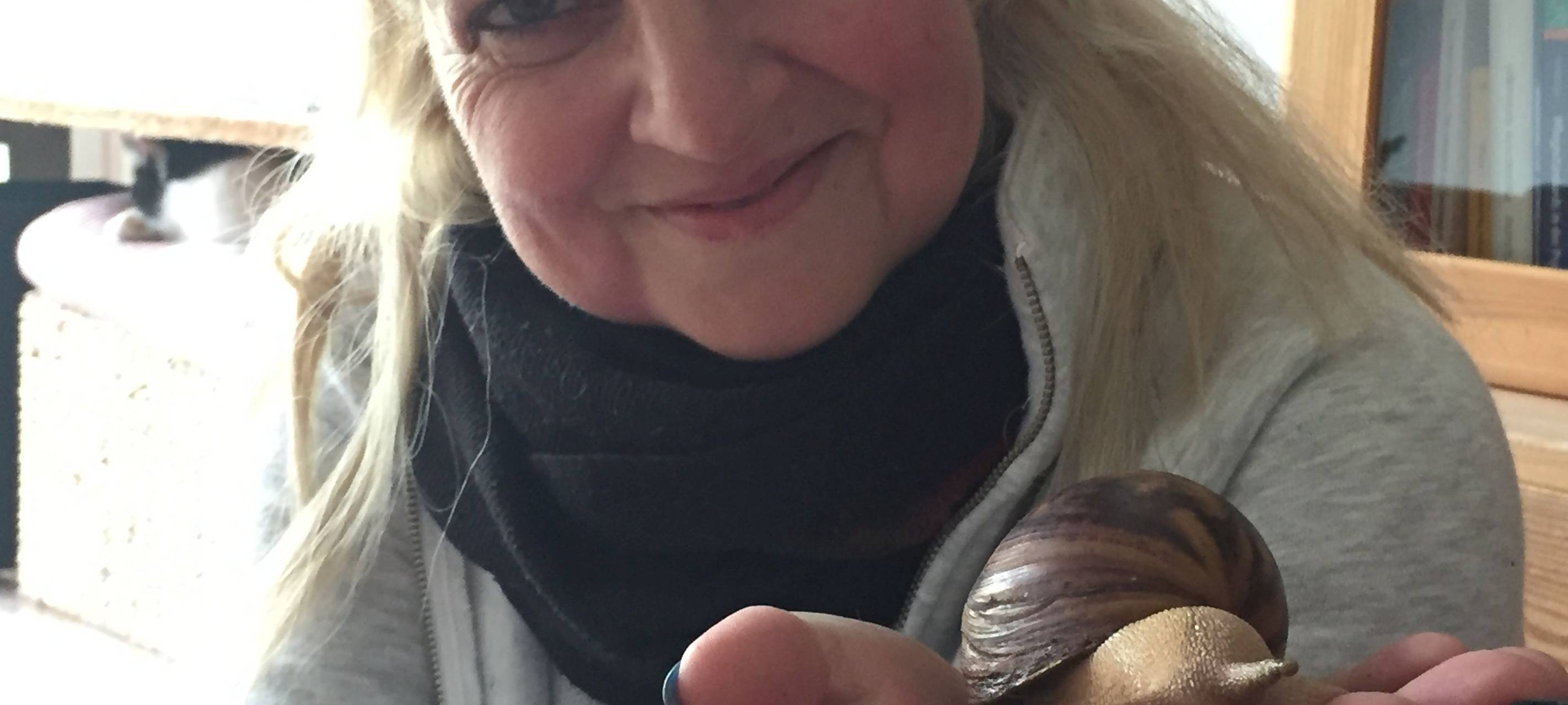 Hammer Ergebnis für Lichtblicke