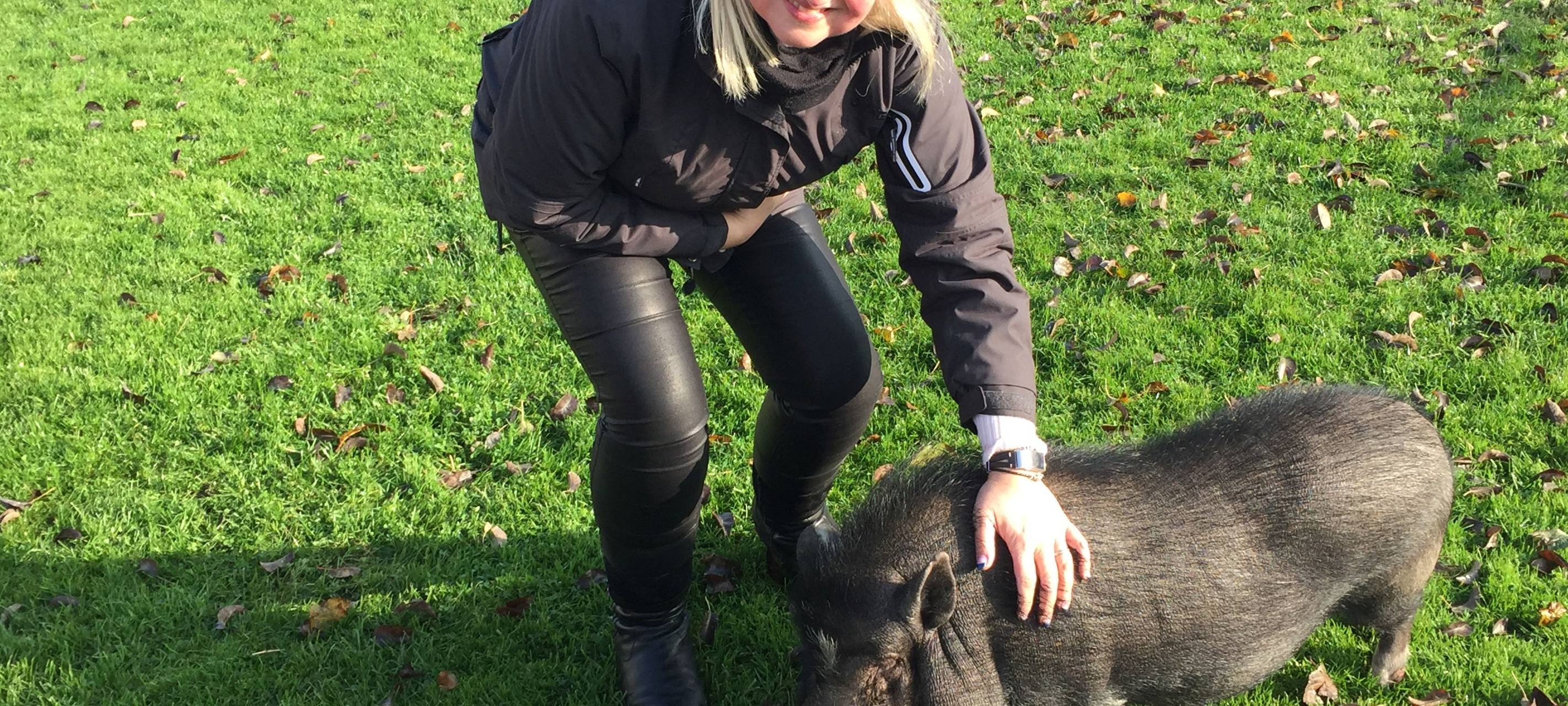 Hammer Ergebnis für Lichtblicke