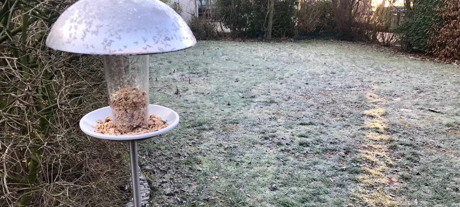 Hammer NABU ruft wieder auf, Vögel zu zählen