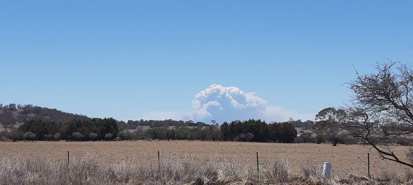 Buschbrände in Australien sorgen weiter für Aufsehen