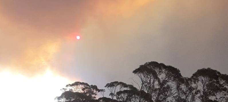 Buschbrände in Australien sorgen weiter für Aufsehen