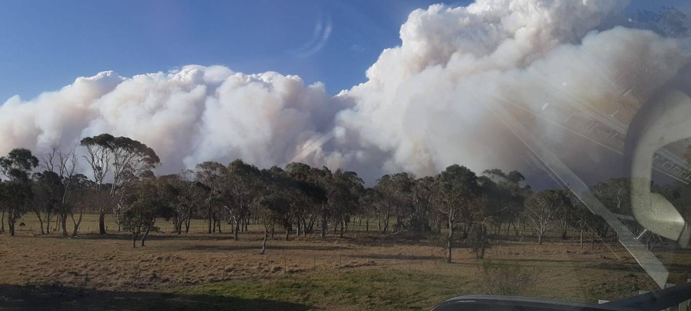 Buschbrände in Australien sorgen weiter für Aufsehen
