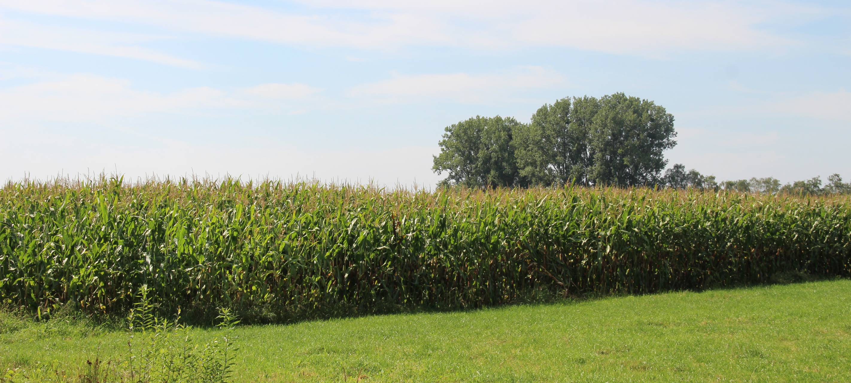 Kostenlos und offen für jedermann