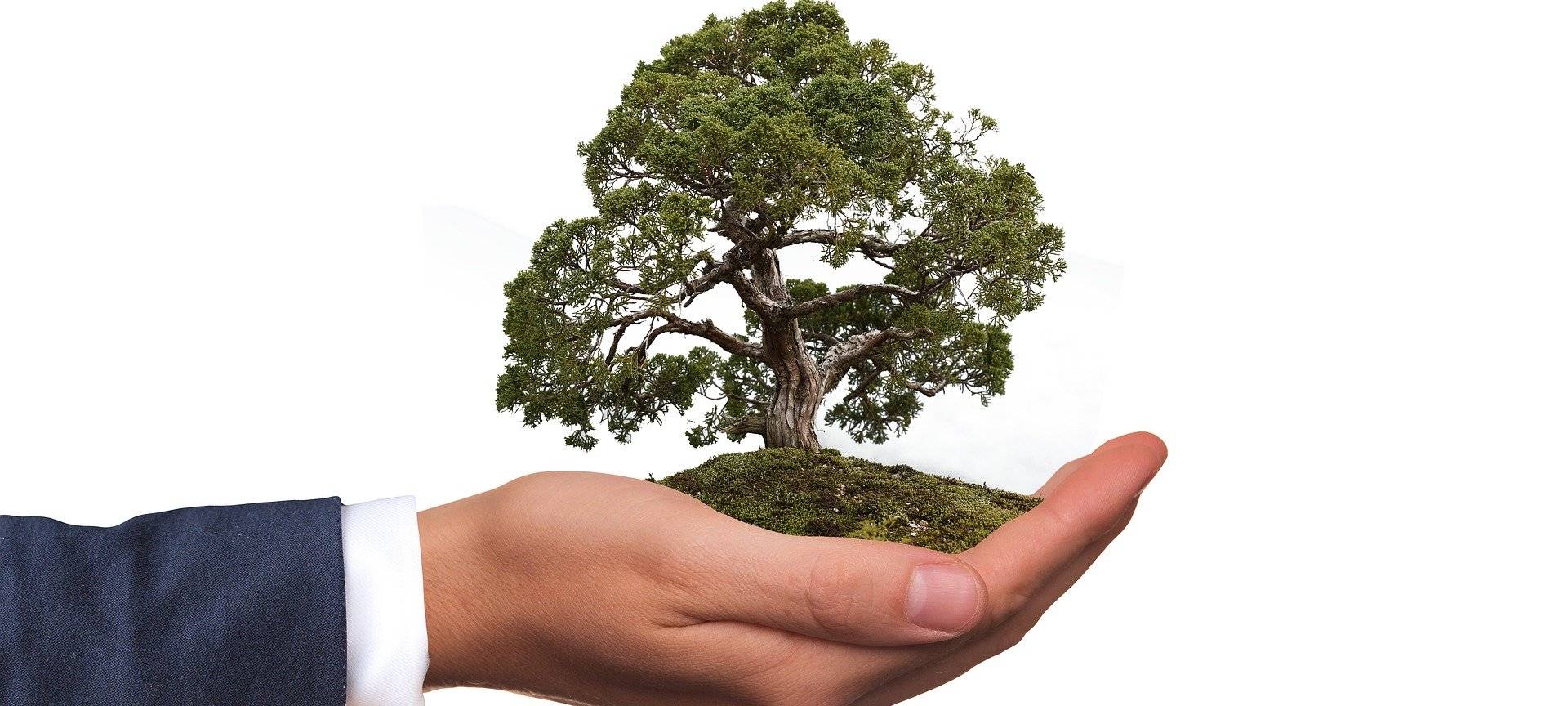 Hamm will 2035 klimaneutral sein