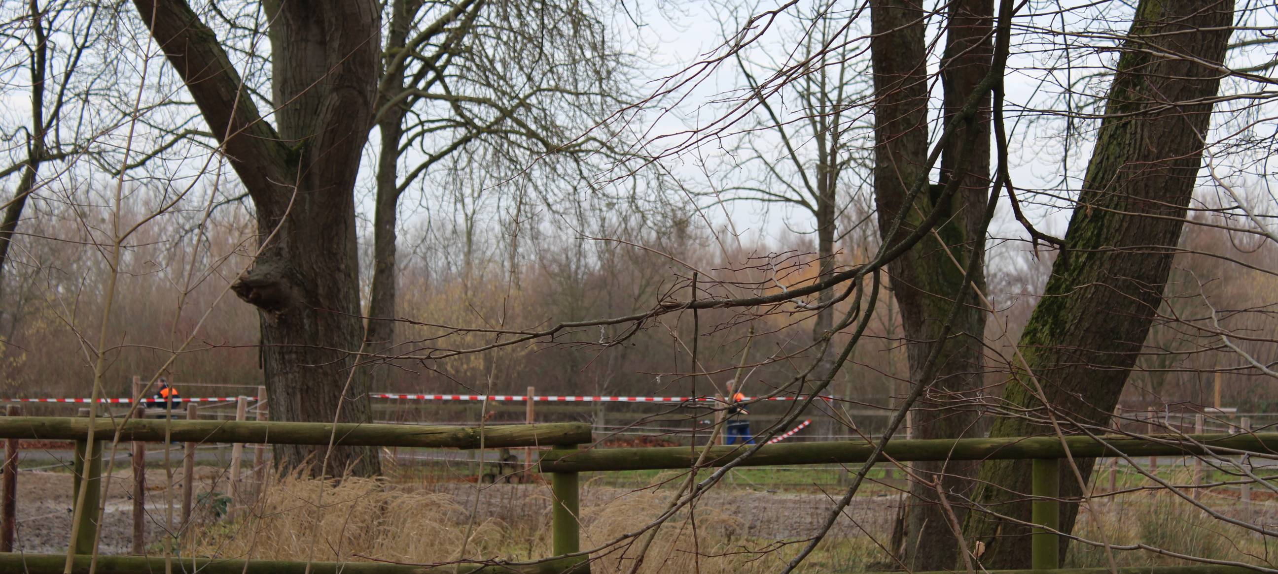 Erdrutsch am Kurpark