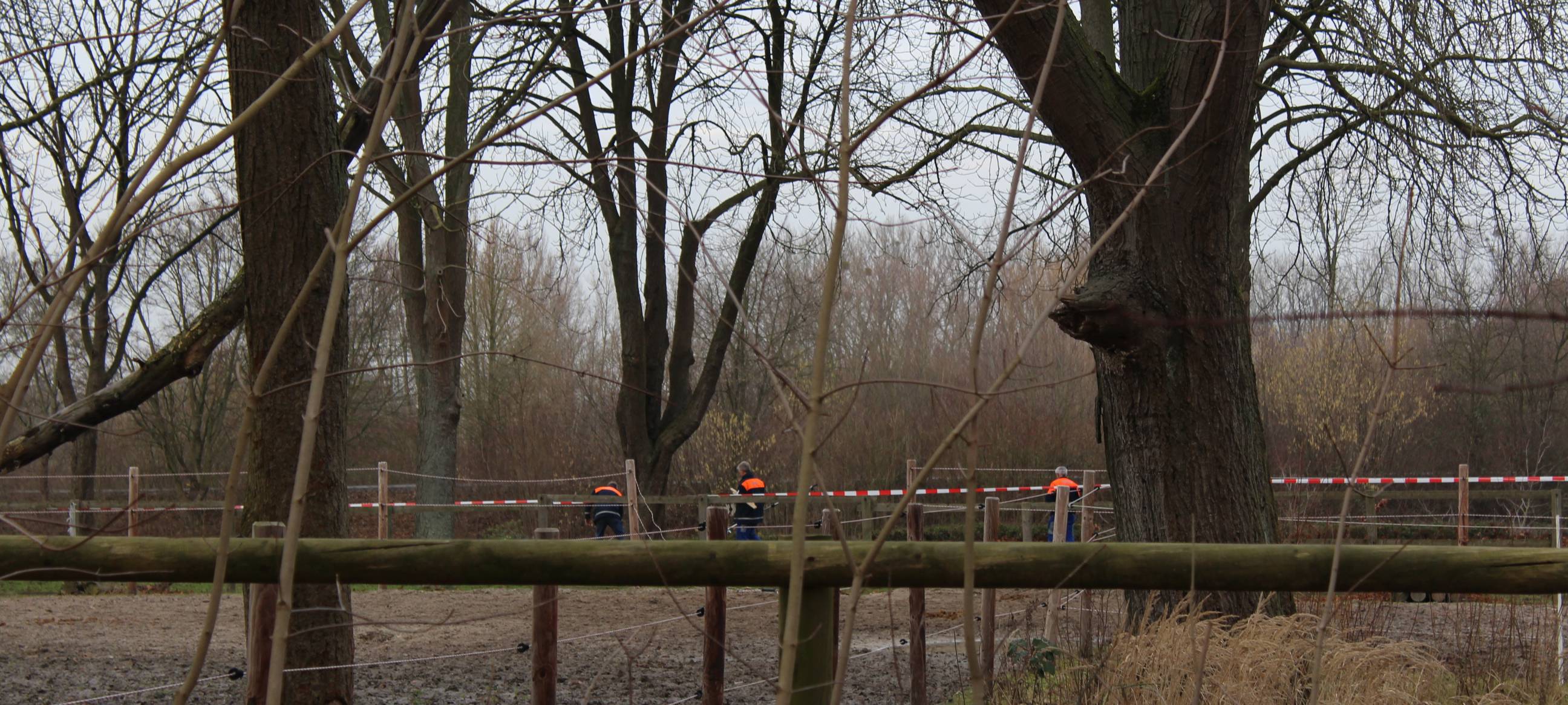 Erdrutsch am Kurpark