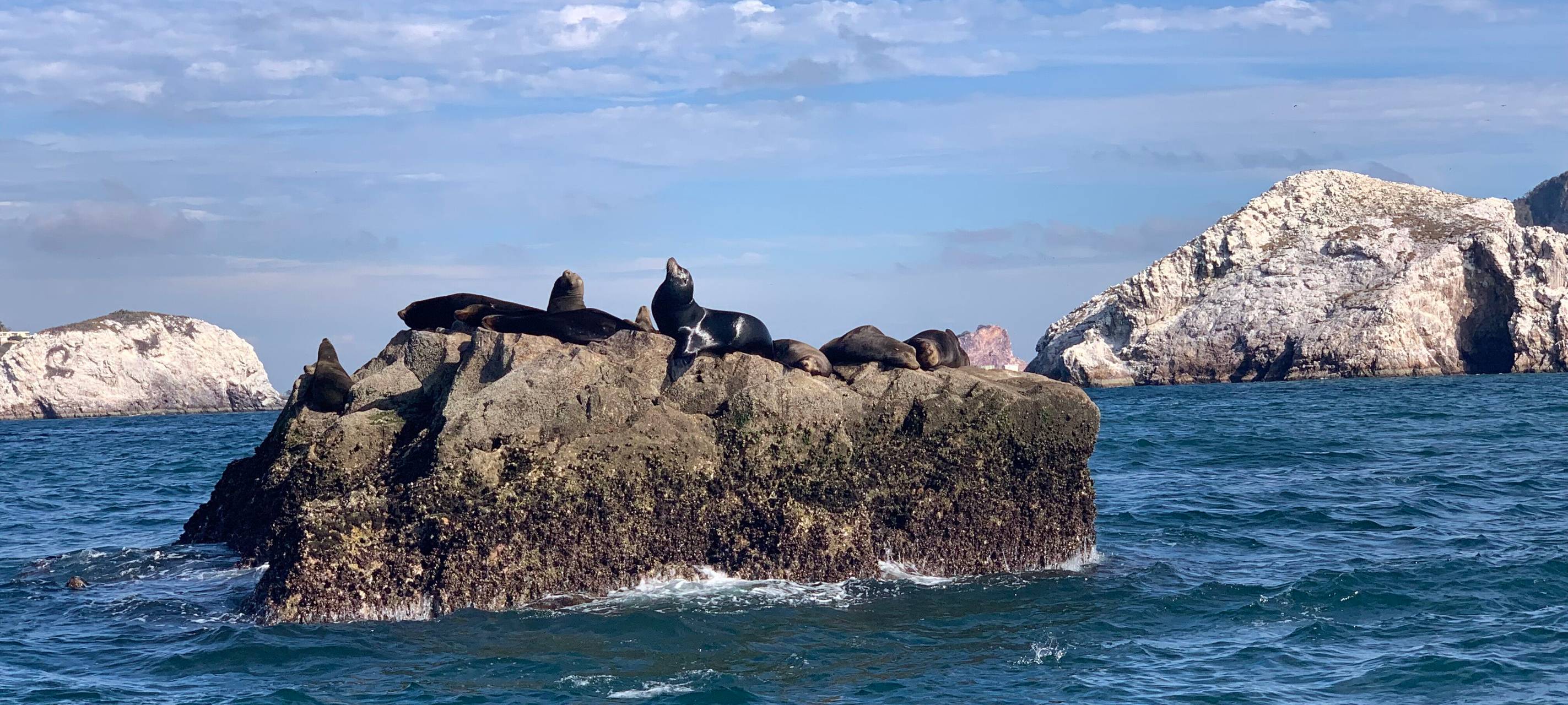 Hammer Auswanderin in Mexiko