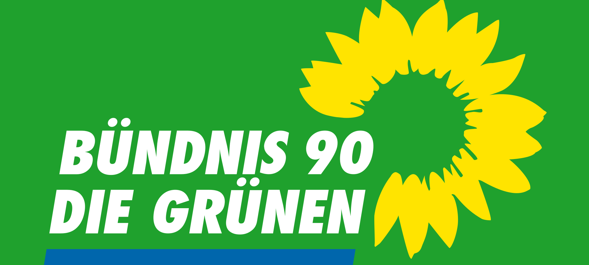 Grüne nominieren OB-Kandidatin