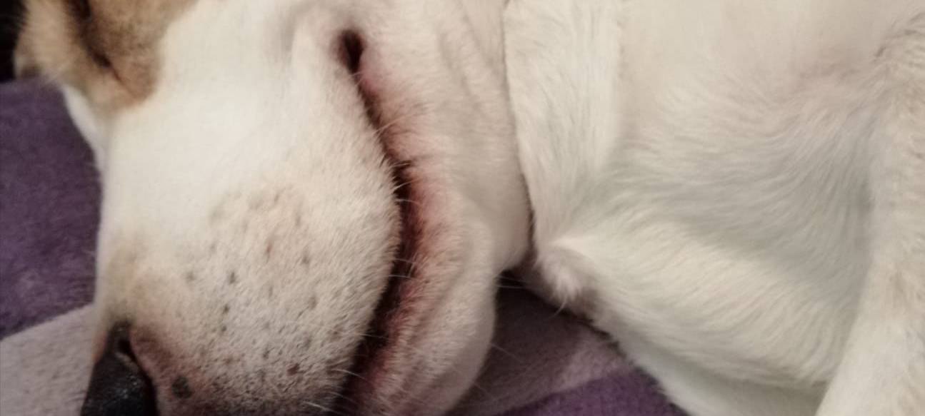 Familien-Challenge: Lächeln