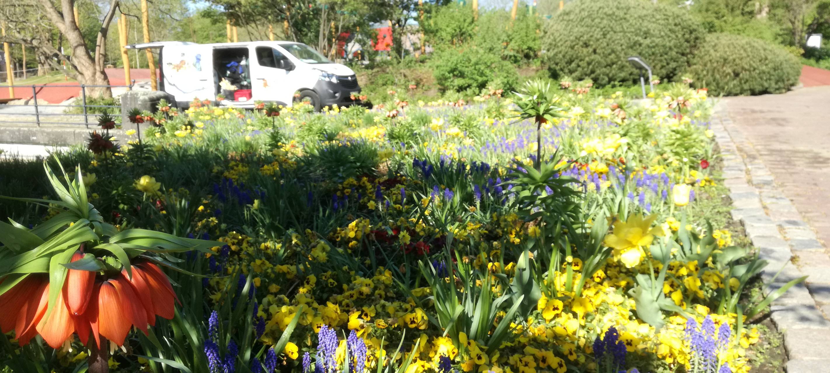 Frühlingsgefühle im Maxipark