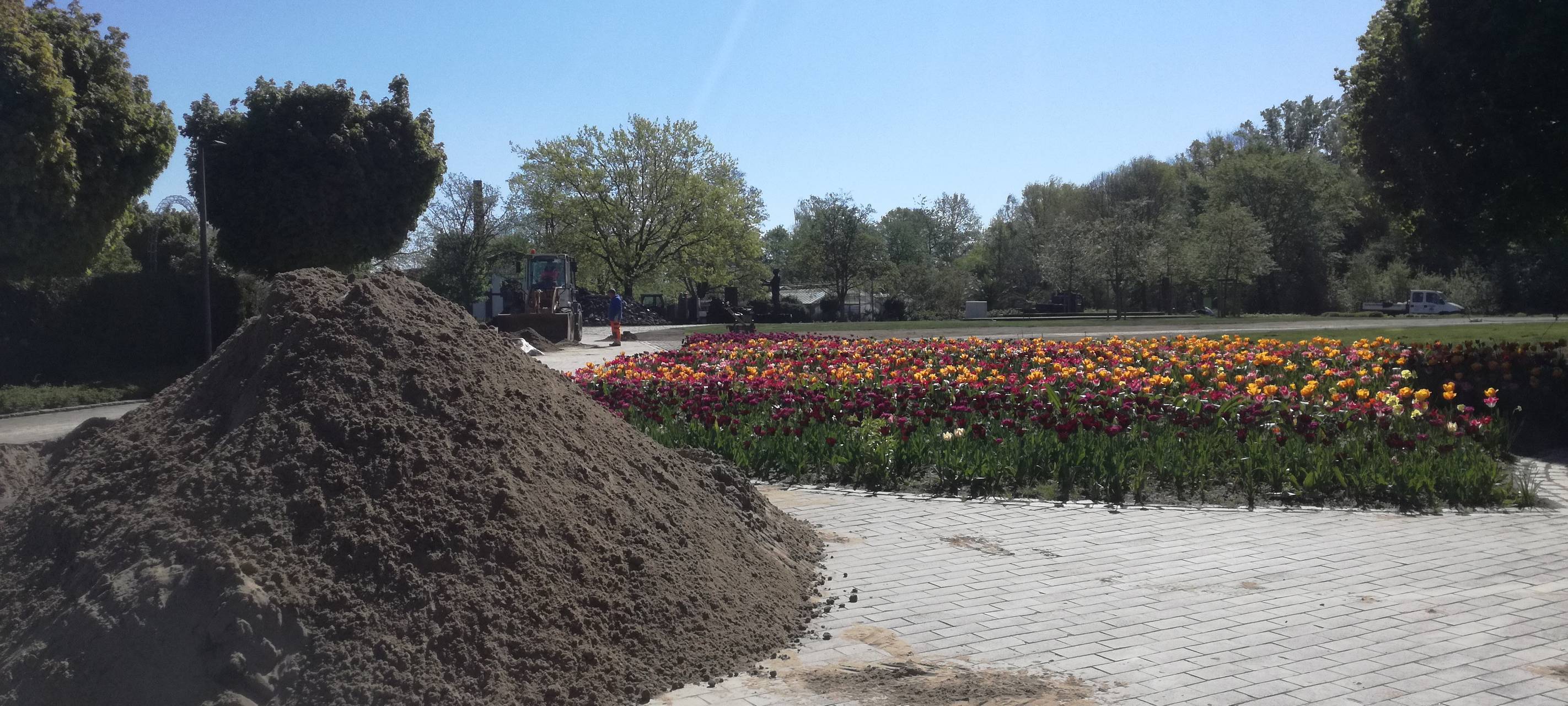 Frühlingsgefühle im Maxipark