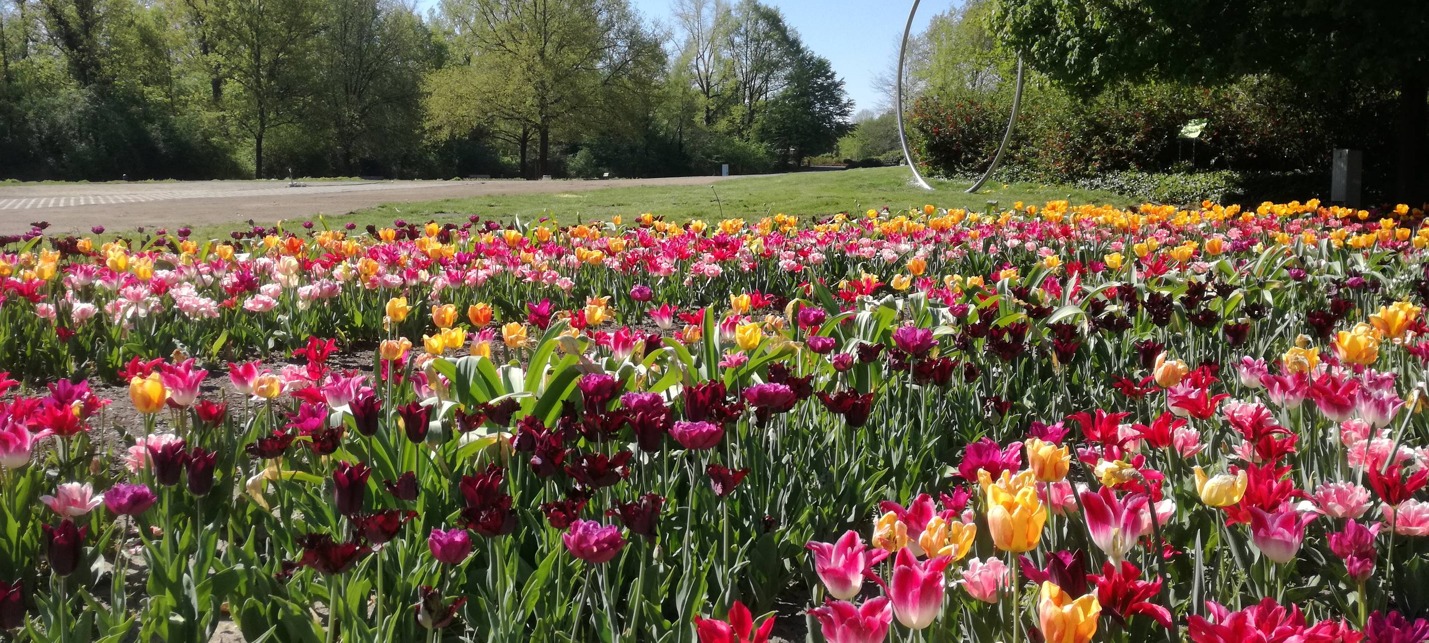 Frühlingsgefühle im Maxipark
