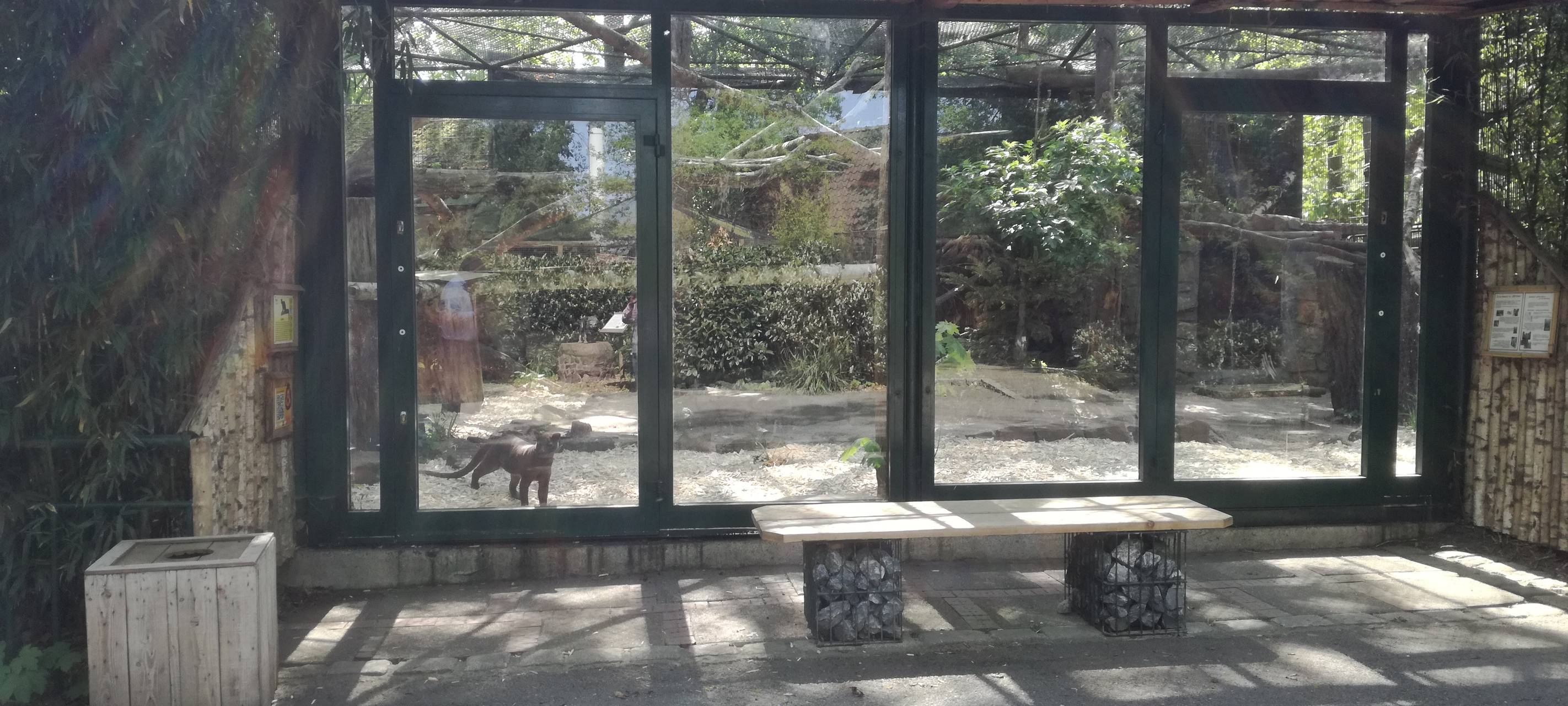 Ein Blick in den Hammer Tierpark