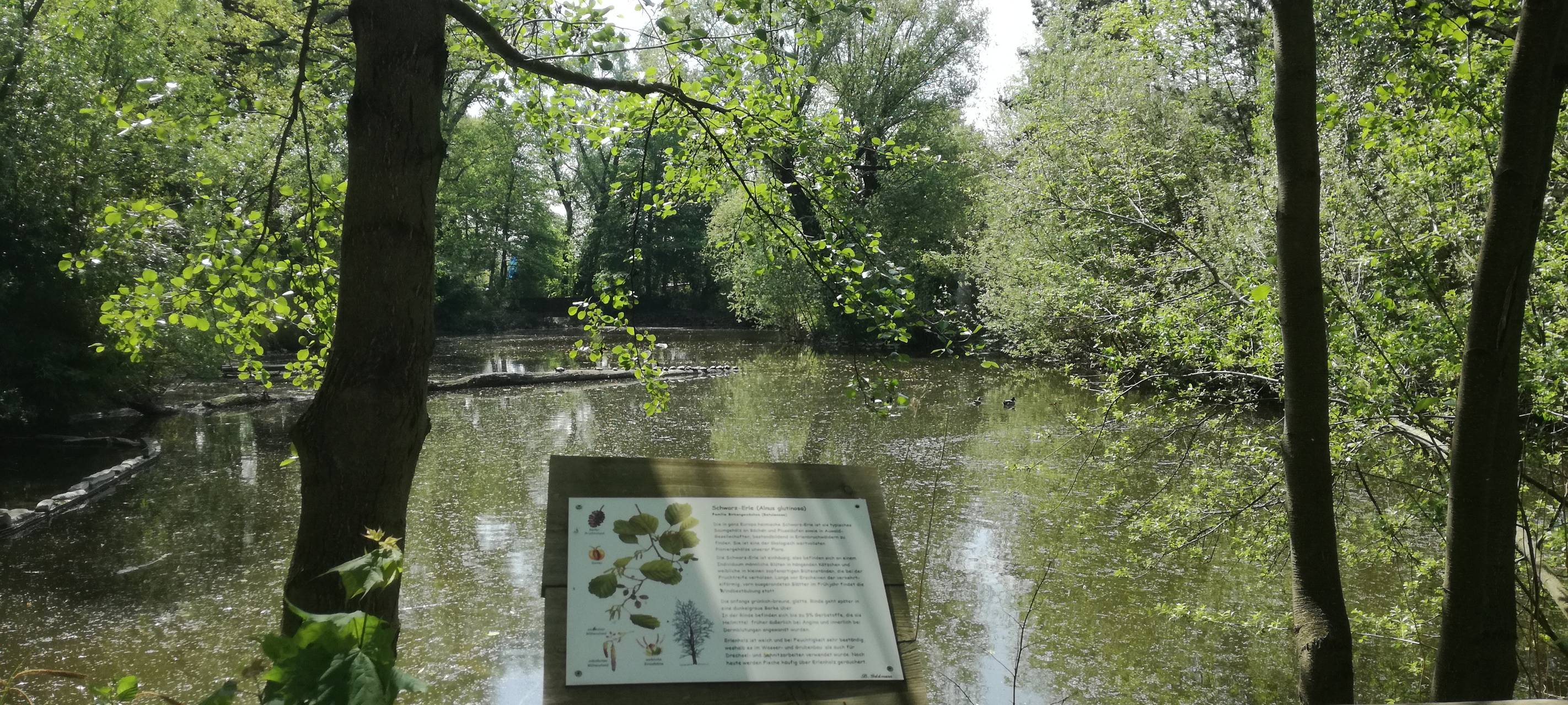 Ein Blick in den Hammer Tierpark